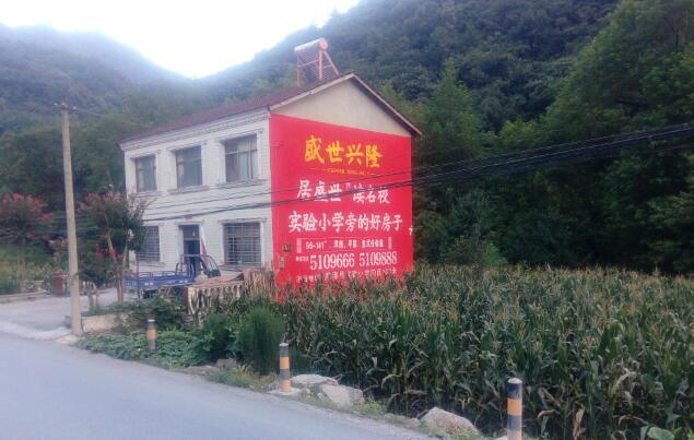 南漳盛世興隆房地產(chǎn)墻體廣告